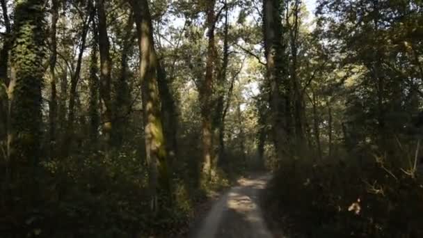 Camino Tierra Del Campo Lomellina Atardecer — Vídeo de stock