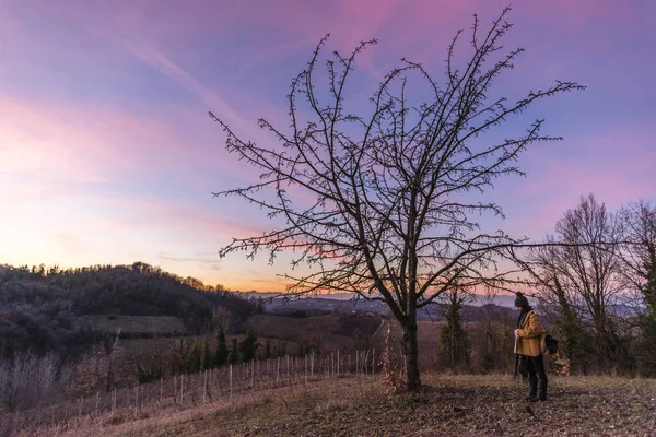 Luz Del Sol Través Las Ramas Bosque Montferrat Durante Invierno — Foto de Stock