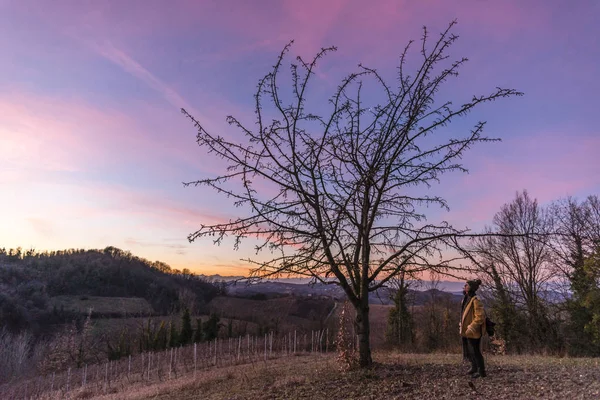 Luz Solar Através Dos Ramos Uma Floresta Montferrat Durante Inverno — Fotografia de Stock