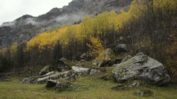 Misty Forest Valley Gressoney Monte Rosa Autumn — Stock Video