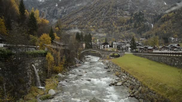 Río Lys Bosque Valle Gressoney Cerca Monte Rosa Durante Otoño — Vídeo de stock