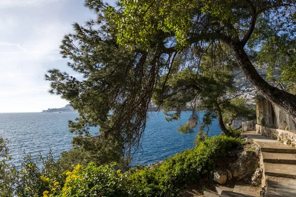 Costa Cap Martin Soleado Día Invierno — Foto de Stock