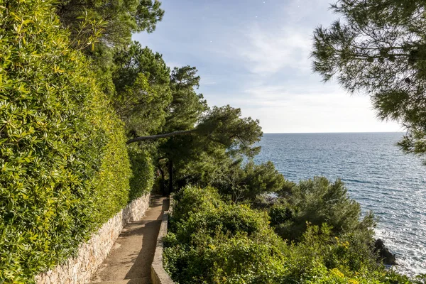 Costa Cap Martin Soleado Día Invierno —  Fotos de Stock