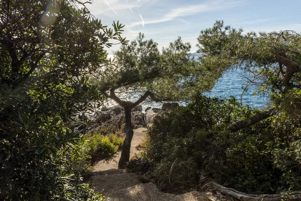 Côté Mer Cap Martin Par Une Journée Ensoleillée Hiver — Photo