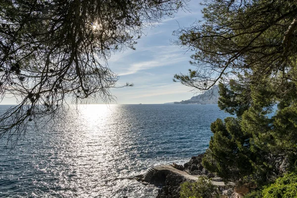 Seacoast Cap Martin Sunny Winter Day — Stock Photo, Image