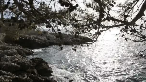 Seacoast Cap Dail Dans Une Journée Ensoleillée Hiver — Video