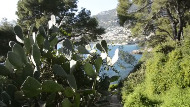 Seacoast Cap Martin Solig Vinterdag — Stockvideo