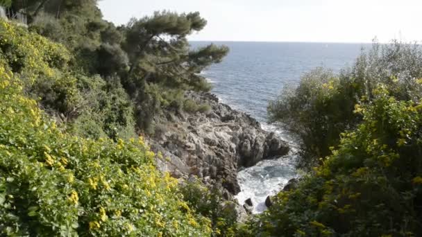 Cap Martin Sahil Güneşli Kış Günü Içinde — Stok video