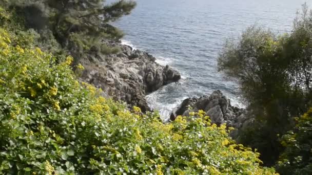 Cap Martin Sahil Güneşli Kış Günü Içinde — Stok video