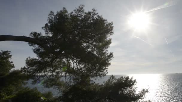 Сонячне Світло Відбивається Море Кап Мартен Сонячний Зимовий День — стокове відео