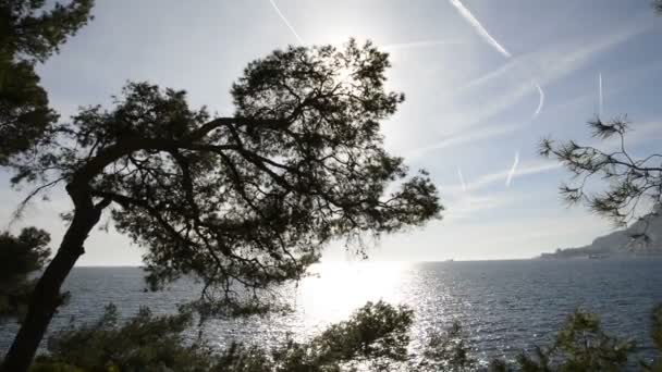 Luz Solar Refletida Mar Cap Martin Dia Ensolarado Inverno — Vídeo de Stock