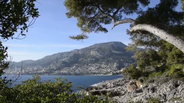 French Riviera Için Sahil Çamı Bagaja Güneşli Bir Gün — Stok video