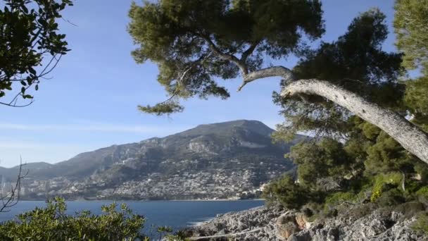 French Riviera Için Sahil Çamı Bagaja Güneşli Bir Gün — Stok video