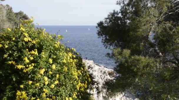 Seacoast Cap Martin Dzień Słoneczny Zimowy — Wideo stockowe