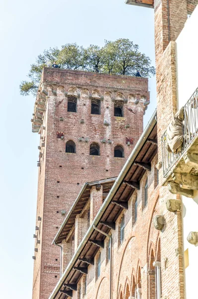 Centro Medieval Lucca Toscana Itália — Fotografia de Stock