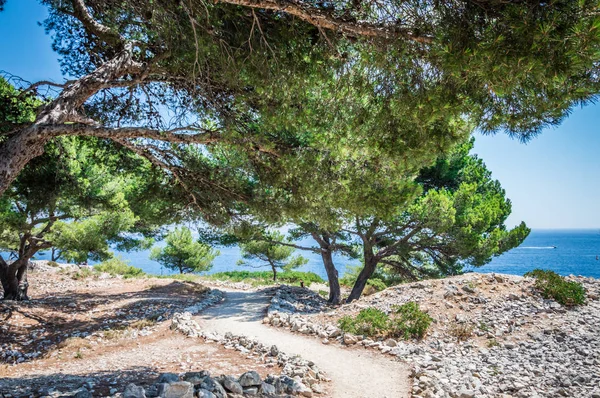 Calanques Cerca Cassis Día Verano Fotos De Stock