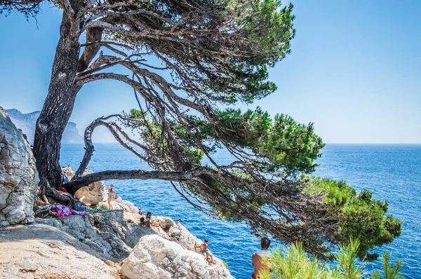 Calanques Cerca Cassis Día Verano Imágenes De Stock Sin Royalties Gratis