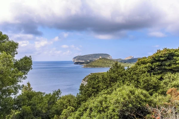 Costa Costera Cerca Alghero Capo Caccia —  Fotos de Stock