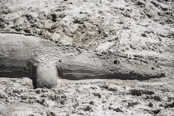 Piaskowy Krokodyl Plaży Sardynii — Zdjęcie stockowe