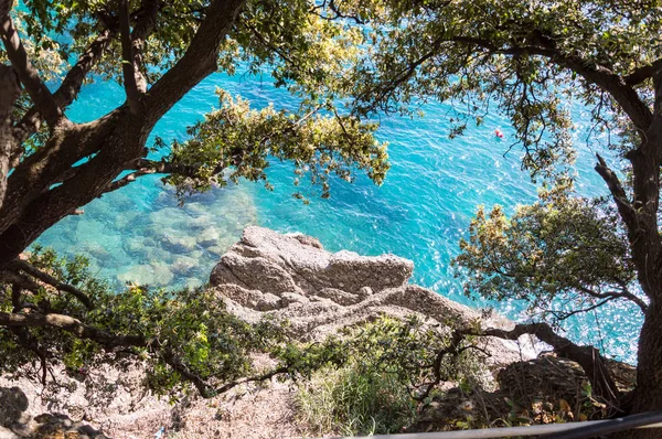 Hermosa Vista Camogli Liguria — Foto de Stock