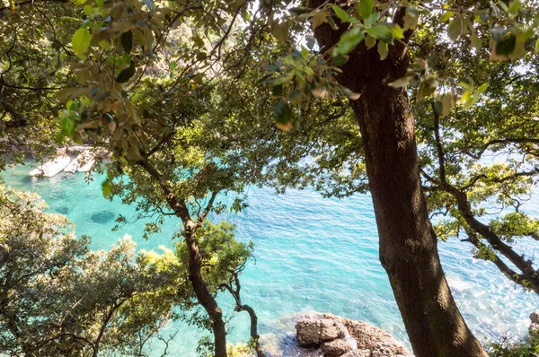 Hermosa Vista Camogli Liguria — Foto de Stock