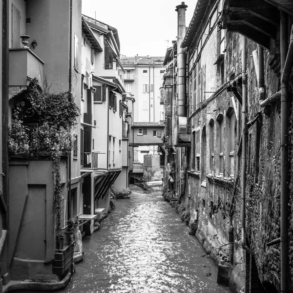 Hermosa Vista Centro Medieval Bolonia — Foto de Stock