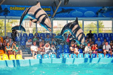 Kiev, Ukrayna - 20 Temmuz 2016: Dolphinarium dalış yunuslar performansını