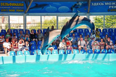 Kiev, Ukrayna - 20 Temmuz 2016: Dolphinarium dalış yunuslar performansını