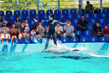 Kiev, Ukrayna - 20 Temmuz 2016: Dolphinarium dalış yunuslar performansını