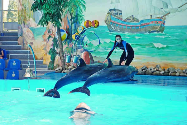 Kiev Ucrania Julio 2016 Actuación Delfines Buceo Delfinario — Foto de Stock
