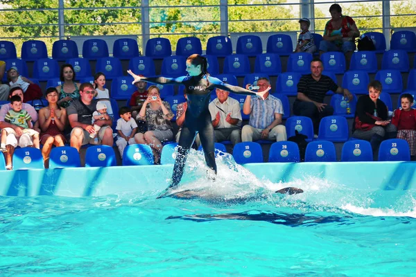 Kiev, Ukrayna - 20 Temmuz 2016: Dolphinarium dalış yunuslar performansını