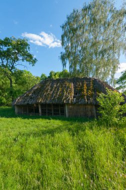 Bir thatched çatı ve duvar paçavra bir yeşil çim üzerinde inşaat