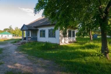 mavi penceresi olan bir eski ülke ev kaplı bir kamış çatı altında bir kalın yeşil ıhlamur ağacı taç ile