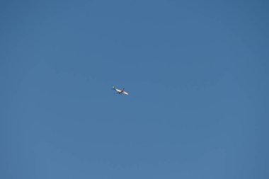 Beyaz uçak mavi gökyüzünde bulutsuz uçuyor.