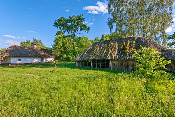 Um prado verde com árvores altas e tiras ucranianas com um telhado de palha — Fotografia de Stock