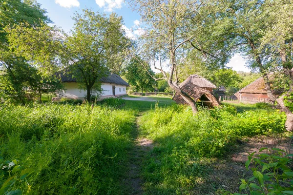 Um pátio limpo e verde entre a cabana velha e a colina da árvore no museu da vida cotidiana. Uzhhorod Ucrânia — Fotografia de Stock