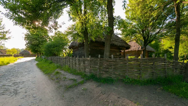 A wooden house with a reed roof near a wicker tin under high trees — Stock Photo, Image