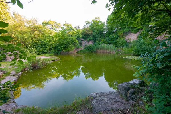Das felsige Ufer eines grünen Sees, umgeben von dichten Büschen und Bäumen — Stockfoto