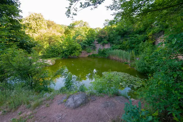 Malý lesní rybník s zelené kvůli bakteriím a špinavé kvůli Mezkovi vodu. Vypadá to nechutně — Stock fotografie