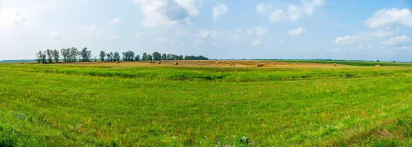Haystacks vintage bir alanla Panoraması — Stok fotoğraf