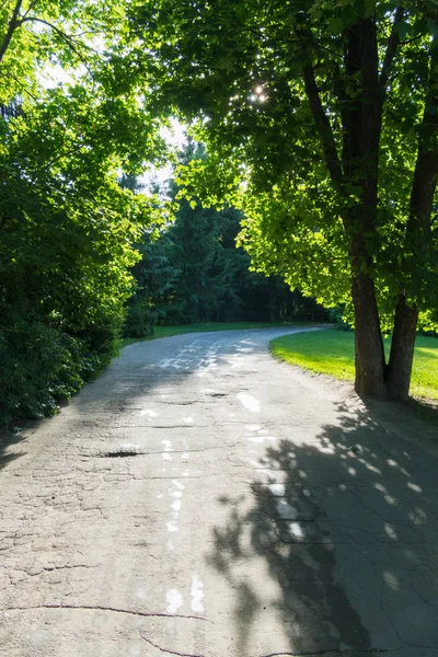 Uma estrada de asfalto de passeio largo no parque contra o fundo de gramados verdes e árvores altas — Fotografia de Stock