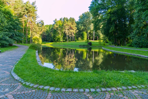 Um lago decorativo limpo no meio de um beco de passeio contra o pano de fundo das árvores do parque florestal — Fotografia de Stock