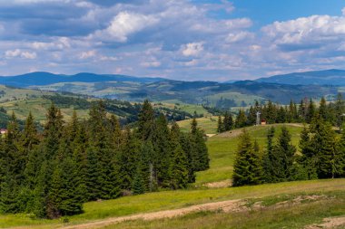 Uzun boylu firs uzak ufuk çizgisi ile gri bulutlar gökyüzünde uzanan büyüyen ile güzel dağ yeşil yamaçlarında.