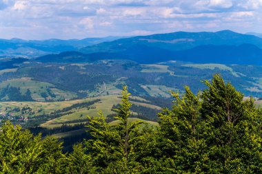 Arka planı güneş ışınlarının iğne yapraklı dallarında büyük yeşil dağlar ve onların eteklerinde, küçük bir kırsal köy
