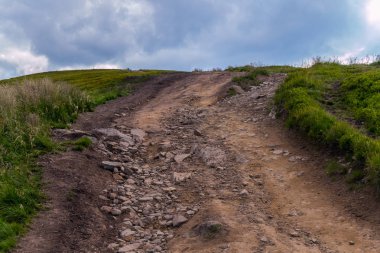 Büyük taşlar üzerine olan geniş yol. Tarafta bir yeşil, uzun boylu ot var
