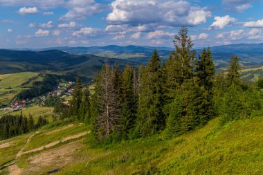 Küçük orman köy rahat evleriyle arka planı yeşil bir dağ yamacında büyüyen yüksek iğne yapraklı ağaçlar