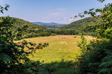 Çayır dağ yamaçları arasında yalan düşük bir ot ile güzel bir görünüm