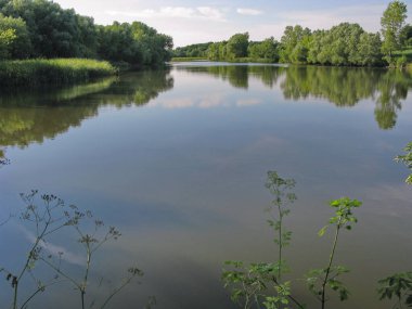 mavi gökyüzü altında büyümüş yeşil ağaçlar ve çalılar, nehir, göl kıyısında. Balık tutma yeri,