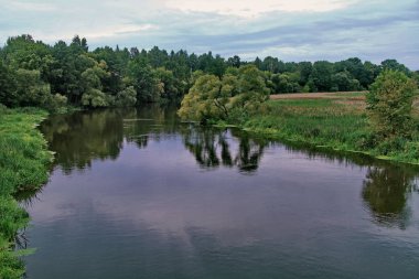 Şeffaf su yüzeyi, yeşil orman bölge iki banka bölme