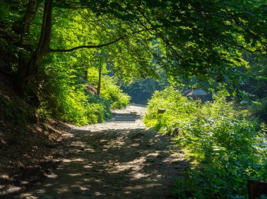 Toprak yol ve mesafe de görünür çatı üzerinde asılı dalları gölgeler